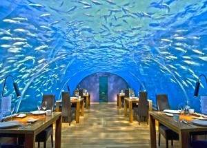 ithaa-underwater-restaurant