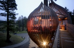 redwoods_treehouse