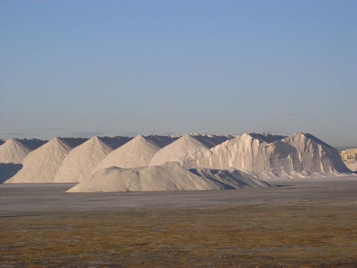 salinas 